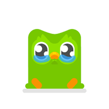 DuoLingo owl